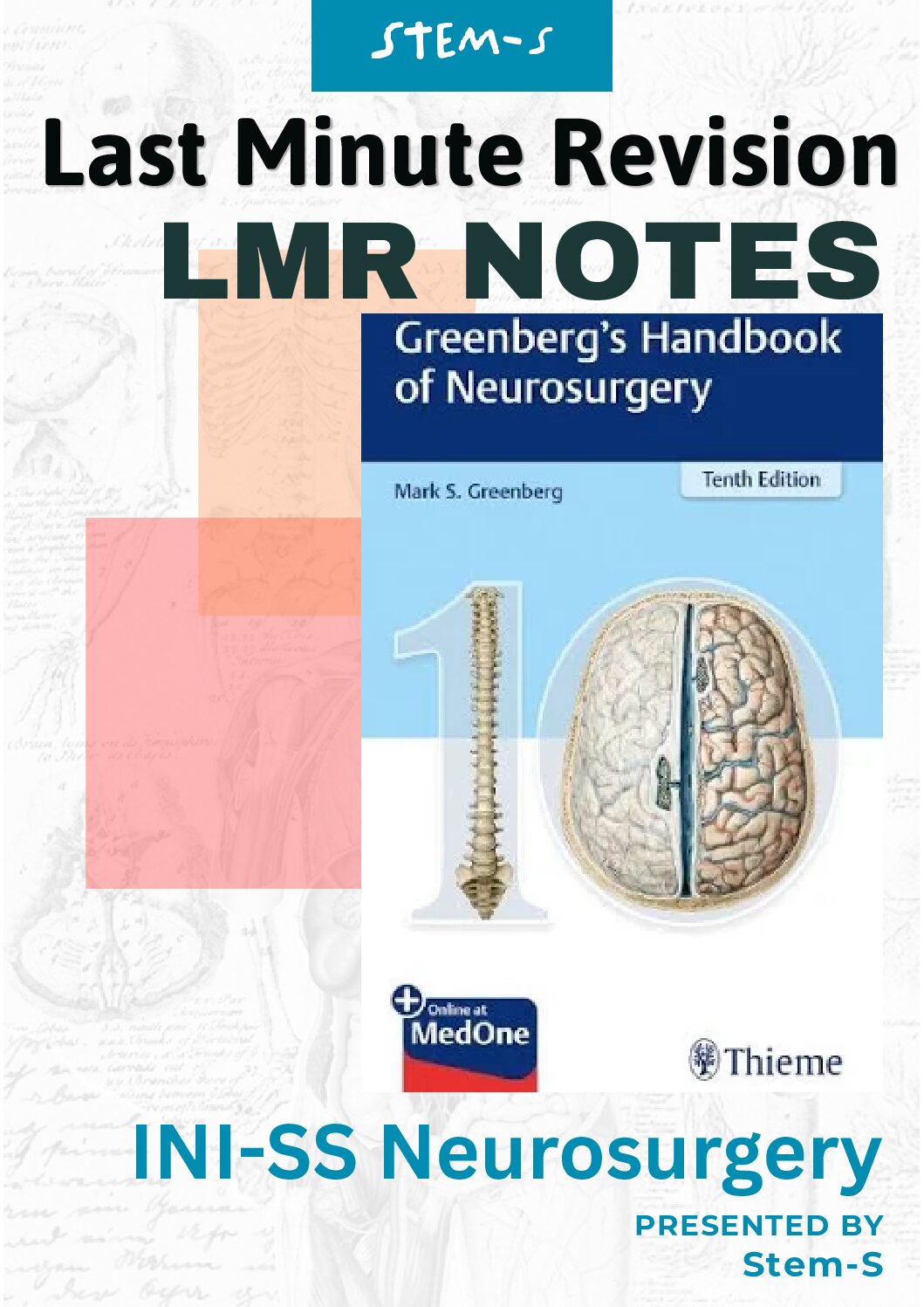 STEM-S_NeuroSurgery_LMR_Sample