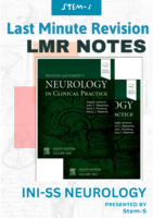 LMR (Last Minute Revision) Notes for INI-SS DM Neurology